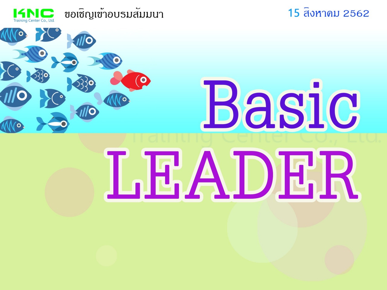 Basic Leader