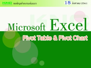 Microsoft Excel Pivot Table & Pivot Chart