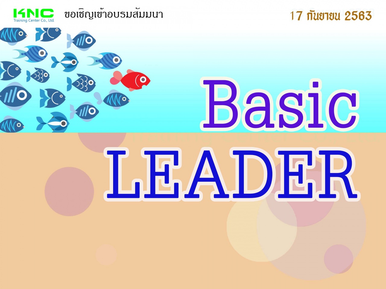 Basic  Leader