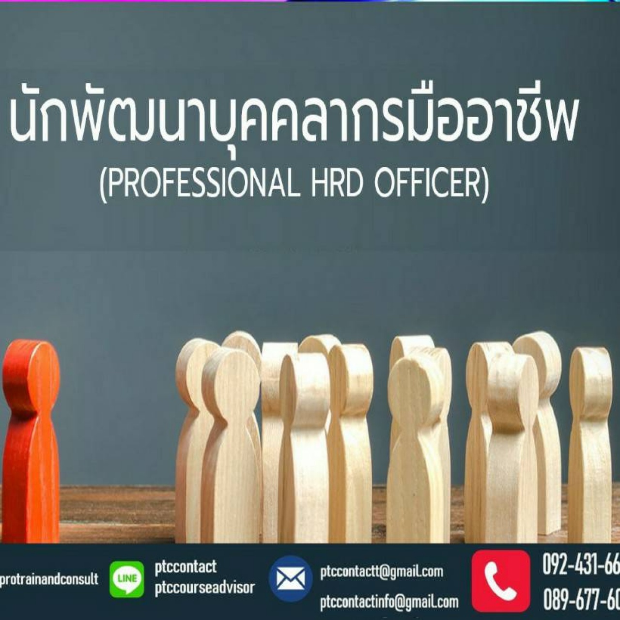 นักพัฒนาบุคลากรมืออาชีพ  (Professional HRD Officer)