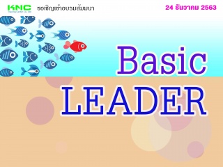 Basic  Leader
