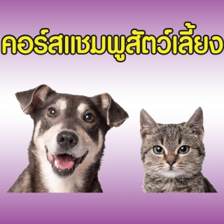 คอร์ส การทำผลิตภัณฑ์สมุนไพรสำหรับน้องหมาน้องแมว...