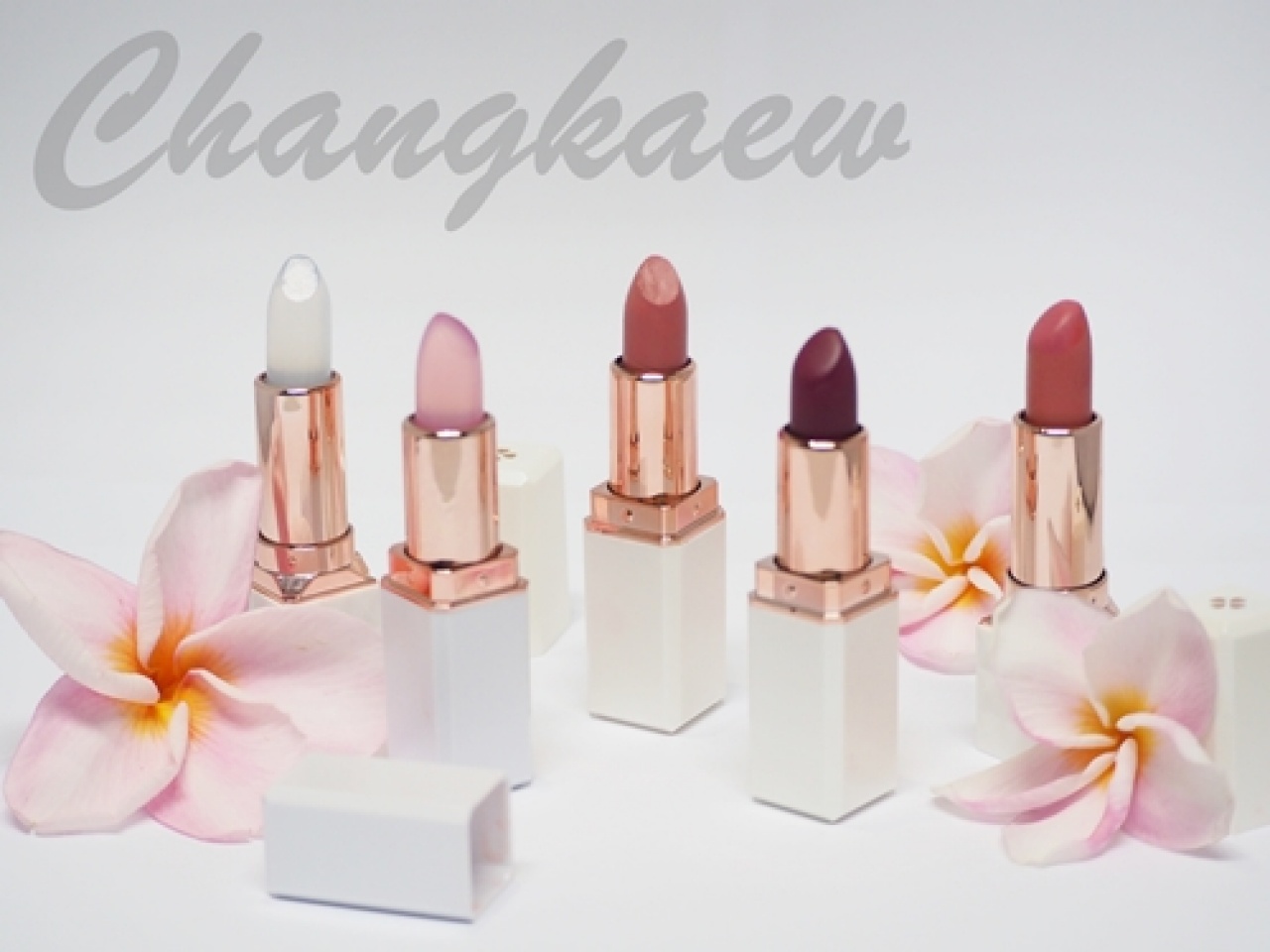 หลักสูตรการทำผลิตภัณฑ์ Lipstick Formula Tends and Lipgross