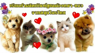 เรียนทำผลิตภัณฑ์สมุนไพรสำหรับน้องหมาน้องแมว และสัต...