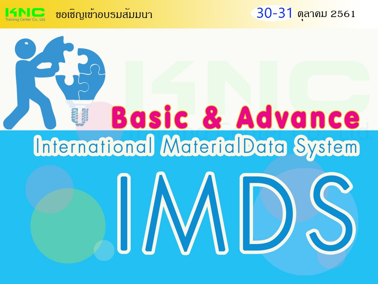 Basic & Advance International Material Data System : IMDS