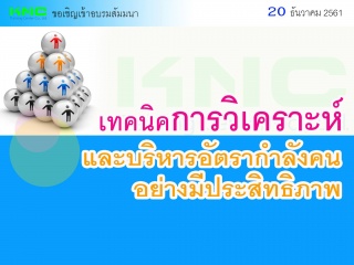 เทคนิคการวิเคราะห์และบริหารอัตรากำลังคนอย่างมีประส...