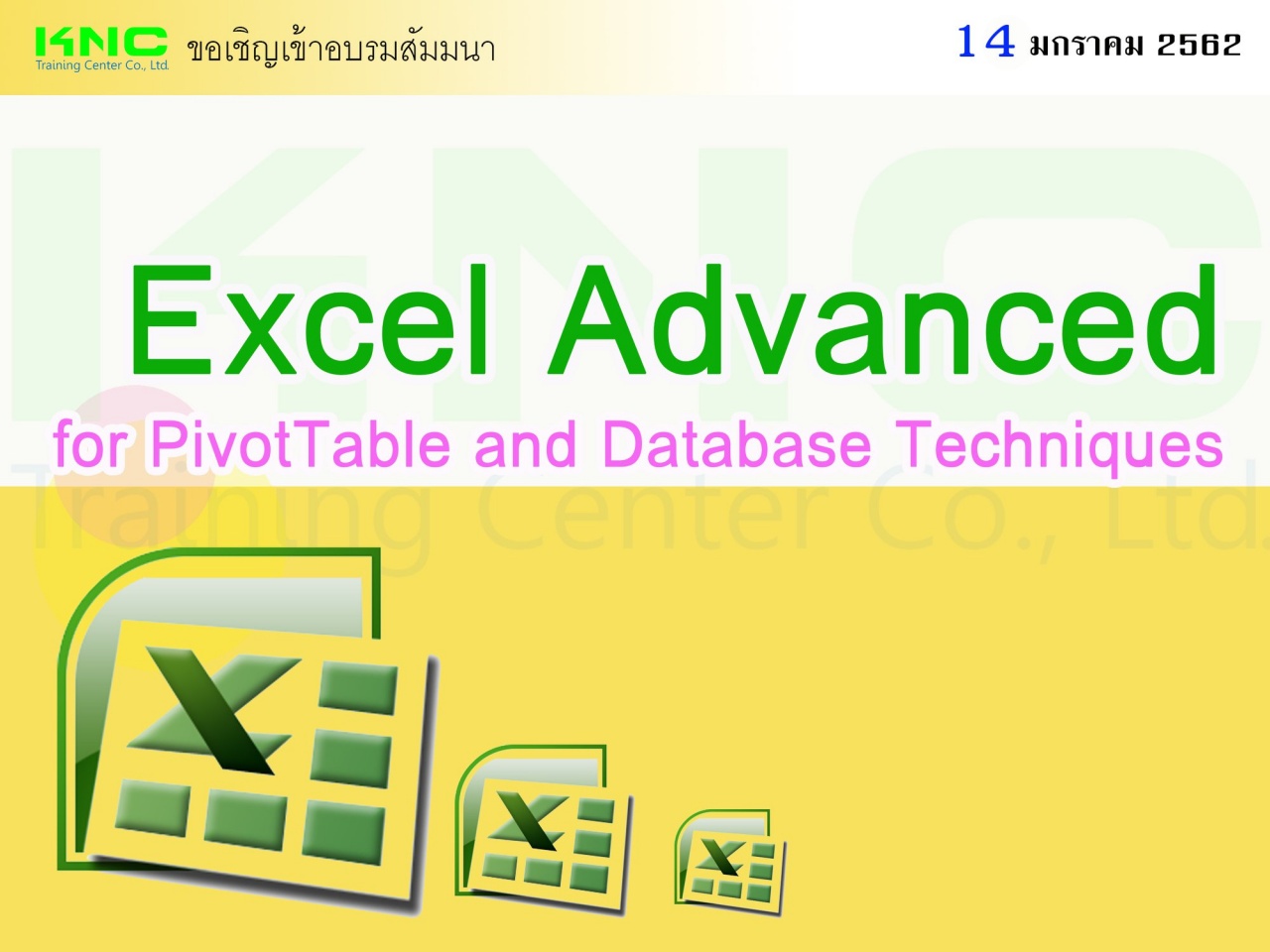 Excel Advanced for PivotTable and Database Techniques