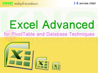 Excel Advanced for PivotTable and Database Techniq...